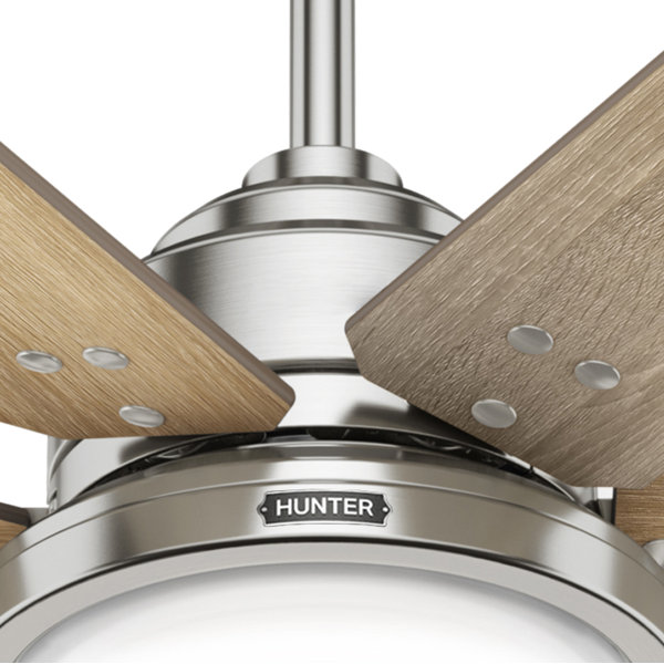 Hunter Fan 60" Warrant 6 Blade LED Standard Ceiling Fan with Wall
